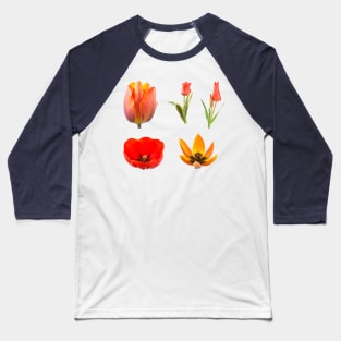 Tulips Baseball T-Shirt